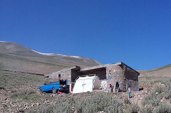 پناهگاههایی که اسطبل شده اند