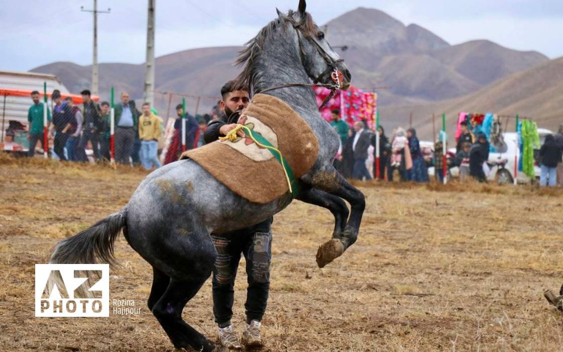جشنواره فرهنگی ورزشی عشایری,