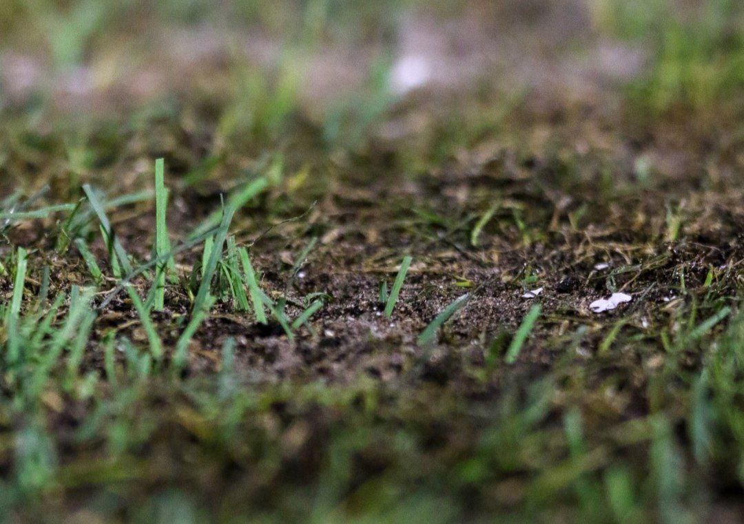 ورزشگاه یادگار امام,تراکتور,