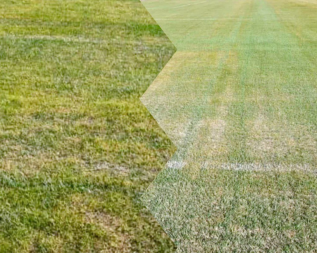 ورزشگاه یادگار امام,حبیب مقصودی,