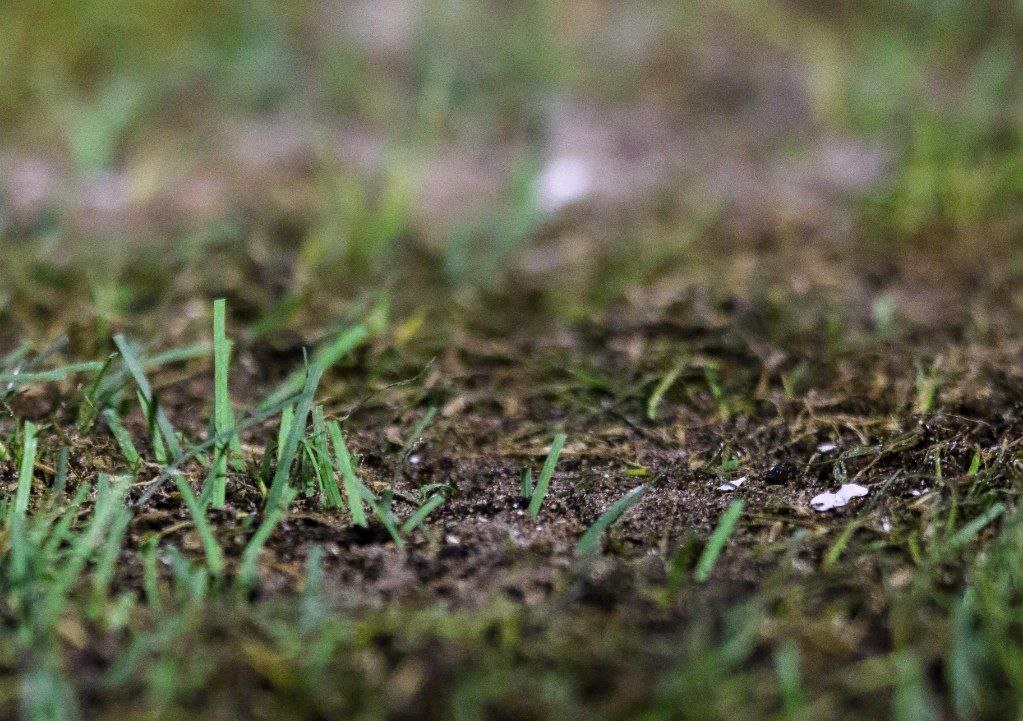 ورزشگاه یادگار امام,تراکتور,حبیب مقصودی,