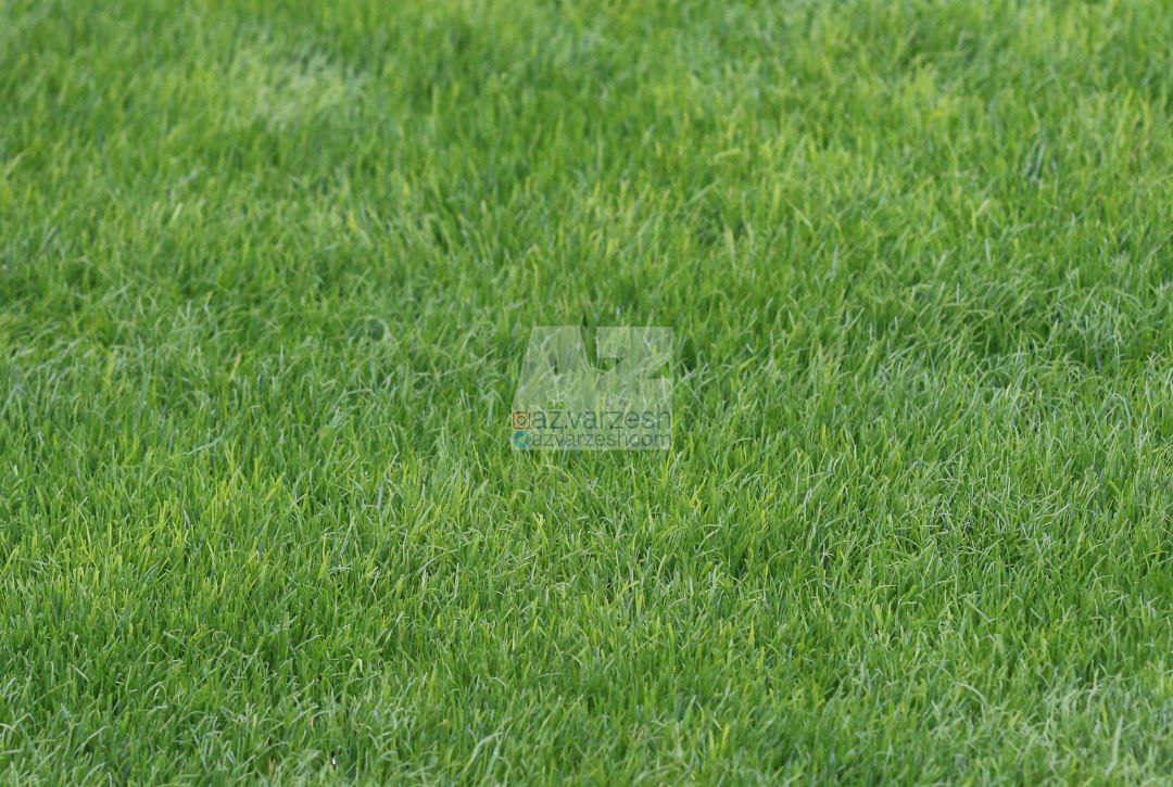 تراکتور,لیگ برتر فوتبال ایران,پیکان,